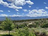 344 Jumping Tree Trail - Photo 48