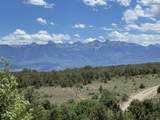 344 Jumping Tree Trail - Photo 49