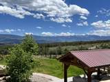 344 Jumping Tree Trail - Photo 50