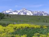 155 Adams Ranch Road - Photo 13