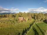 11893 County Road 1 - Photo 49