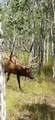 550 County Road 62X - Photo 45