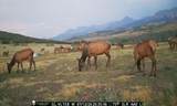 550 County Road 62X - Photo 46