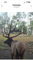550 County Road 62X - Photo 47