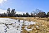 1627 Marmot Drive - Photo 11