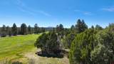 1627 Marmot Drive - Photo 14
