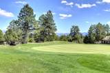 1627 Marmot Drive - Photo 3