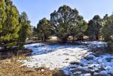 1627 Marmot Drive - Photo 8