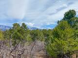 TBD Pine Drive - Photo 15