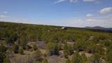 TBD Pine Drive - Photo 25