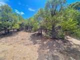 TBD Pine Drive - Photo 26