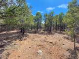 TBD Pine Drive - Photo 29
