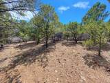 TBD Pine Drive - Photo 31