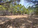 TBD Pine Drive - Photo 7