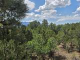 709 Ponderosa Drive - Photo 33