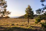 17 Dragon Lode Drive - Photo 8