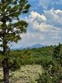 TBD Beaver Pines Loop - Photo 16
