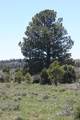 TBD Beaver Pines Loop - Photo 3