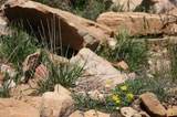 TBD Beaver Pines Loop - Photo 8