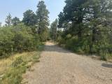 135 Canyon Rim Loop - Photo 1