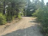 135 Canyon Rim Loop - Photo 2