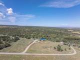 65 Bolinger Drive - Photo 42