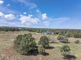 65 Bolinger Drive - Photo 44