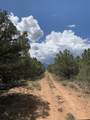 TBD Ponderosa Drive - Photo 4