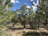TBD Ponderosa Drive - Photo 5