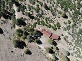 1250 Mckenzie Springs Rd Road - Photo 26