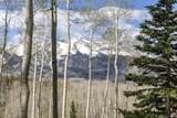 TBD Elk Run - Photo 17
