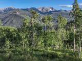 TBD Sunnyside Ranch Road - Photo 10