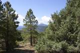 17 Dragon Lode Drive - Photo 12