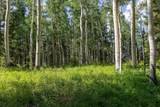 TBD Elk Run - Photo 3