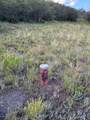 TBD Mountain Flower Drive - Photo 9