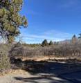 1254 Marmot Dr. - Photo 12