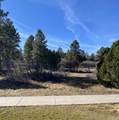 1254 Marmot Dr. - Photo 4