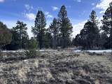 1960 Marmot Drive - Photo 10