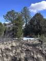 1960 Marmot Drive - Photo 11