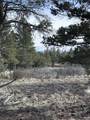 1960 Marmot Drive - Photo 12