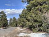 1960 Marmot Drive - Photo 7