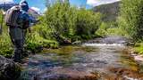 2418 Usfs Rd. 526 - Photo 42