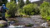 2418 Usfs Rd. 526 - Photo 43