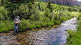 2418 Usfs Rd. 526 - Photo 46
