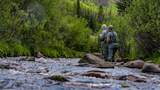 2418 Usfs Rd. 526 - Photo 47