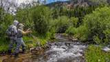 2418 Usfs Rd. 526 - Photo 48
