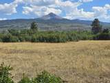 tbd Lone Cone Meadows Lane - Photo 10