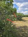 tbd Lone Cone Meadows Lane - Photo 11