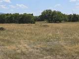 tbd Lone Cone Meadows Lane - Photo 6