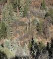 TBD Alder Canyon Road - Photo 12